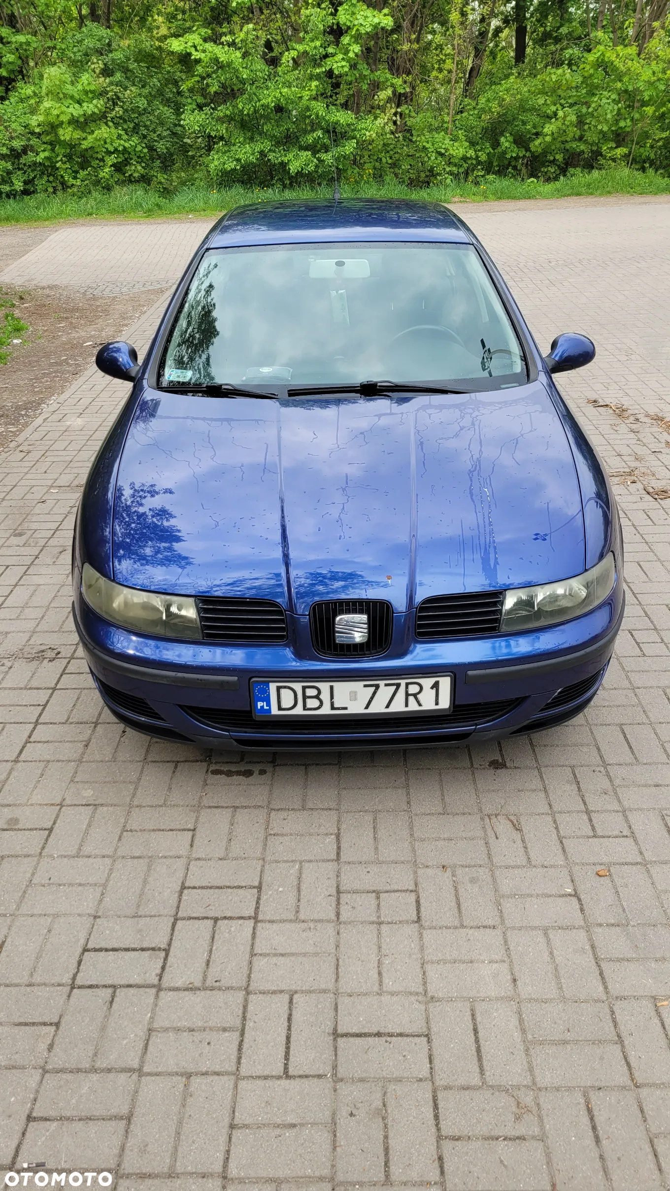 Seat Leon - 3