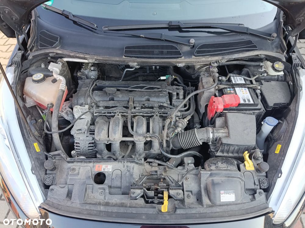 Ford Fiesta - 18