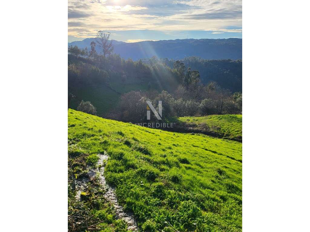 Terreno Rústico 8500 m² em Abadim, Cabeceiras de Basto - Grande imagem: 5/9