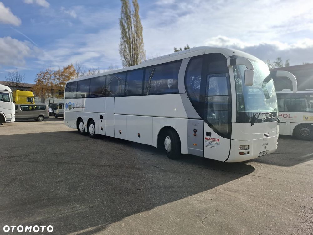 MAN LION'S COACH - 1