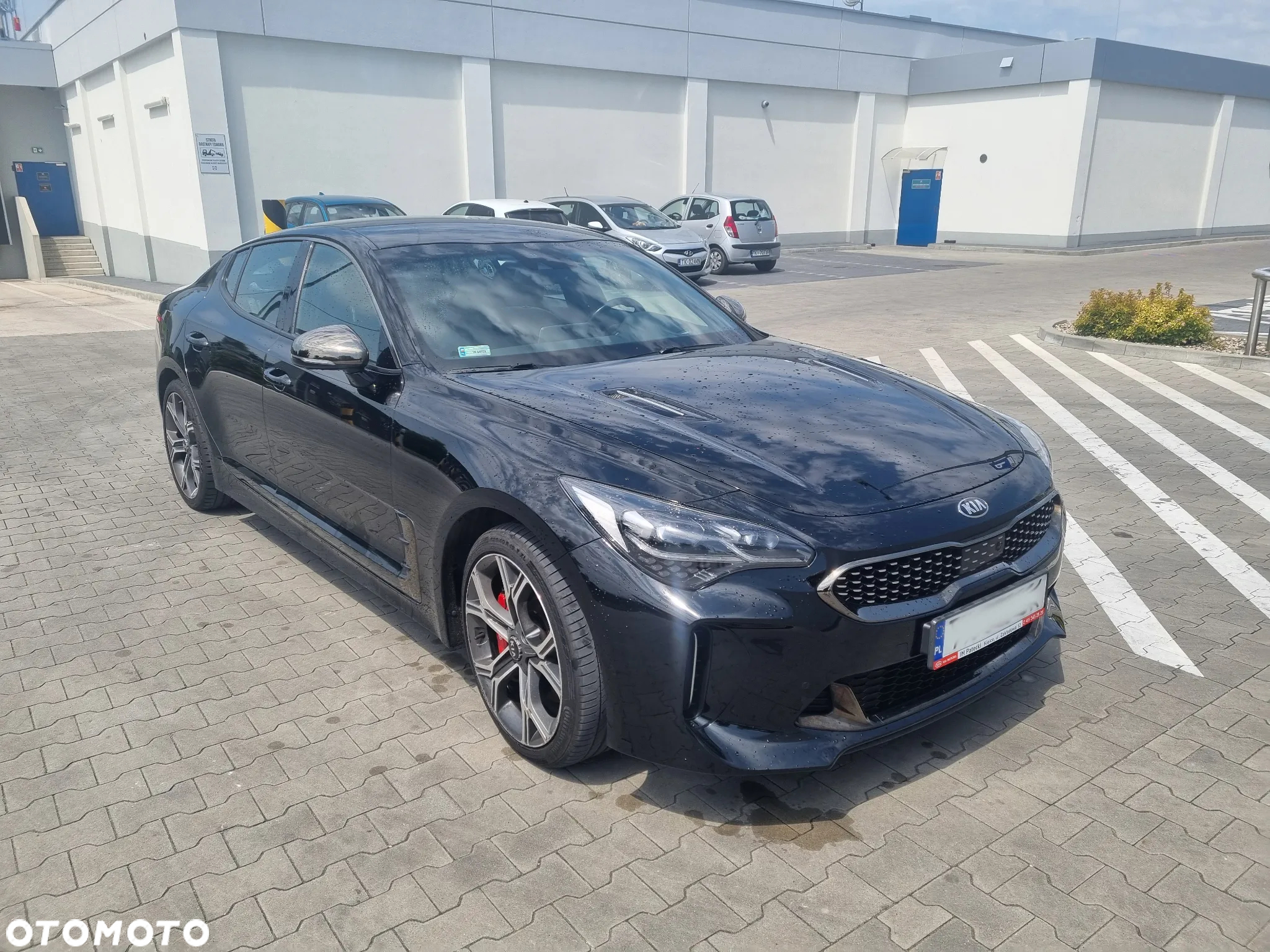 Kia Stinger 3.3 T-GDI V6 GT AWD - 5