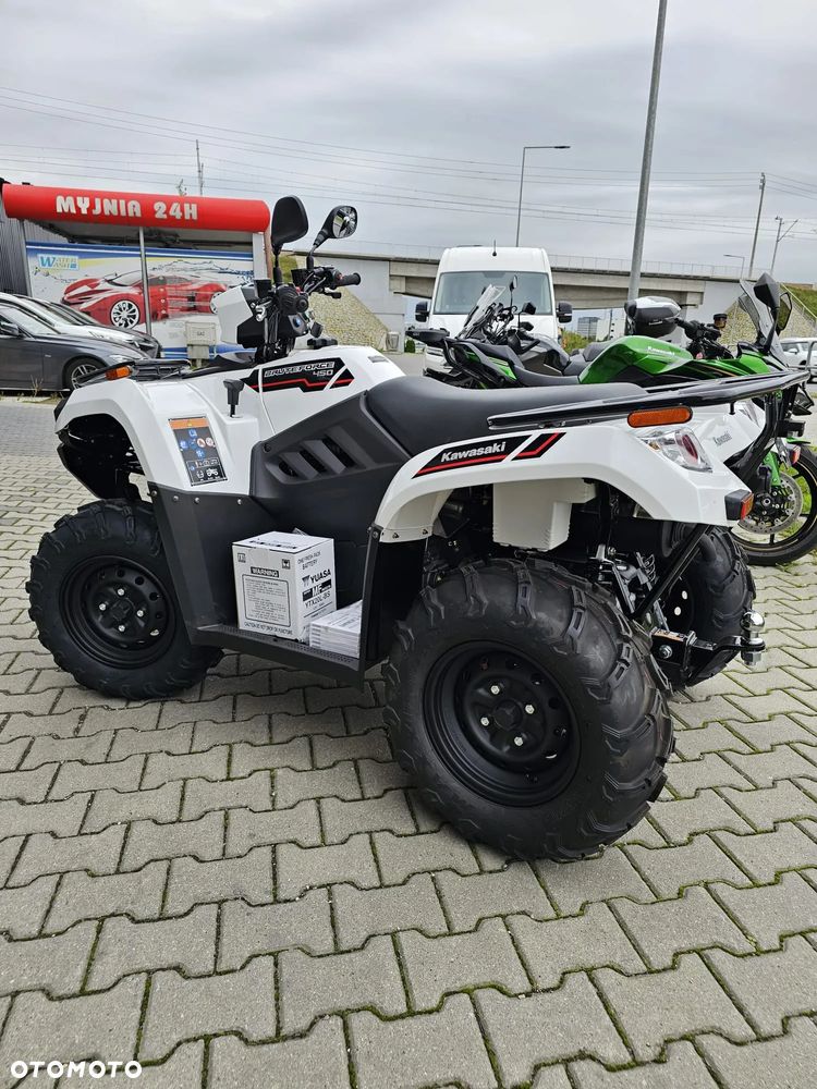 Kawasaki Brute Force