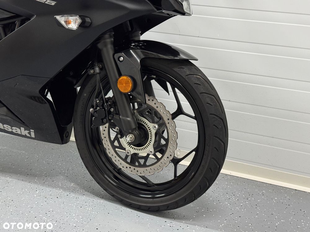 Kawasaki Ninja - 11