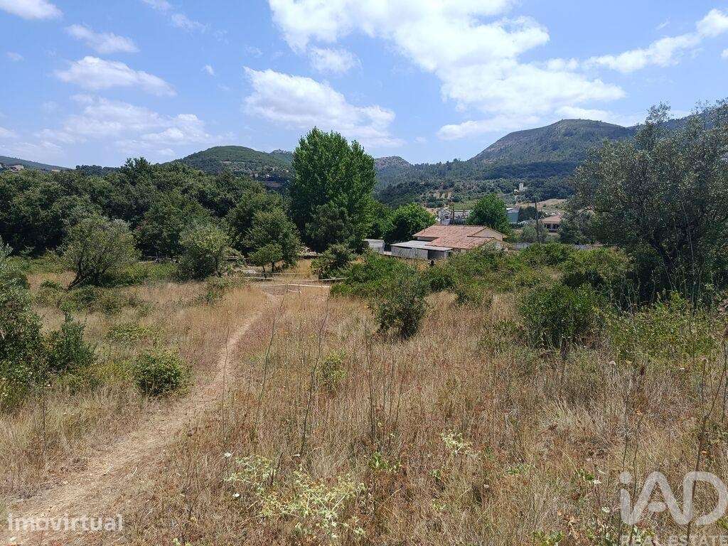 Terreno Agrícola em Porto de Mós - São João Baptista e São Pedro - Grande imagem: 4/11