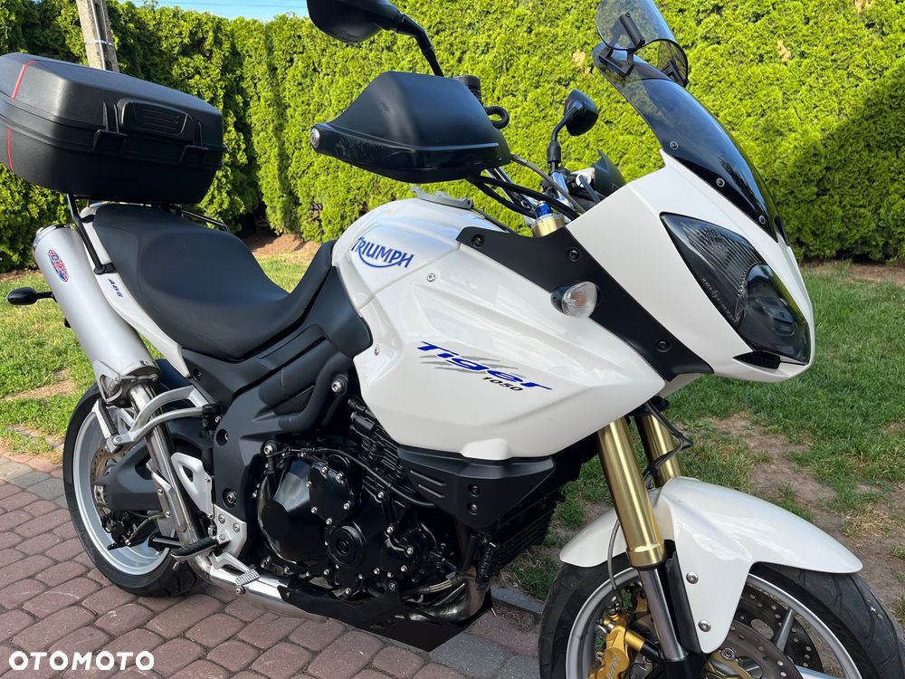Triumph Tiger - 15