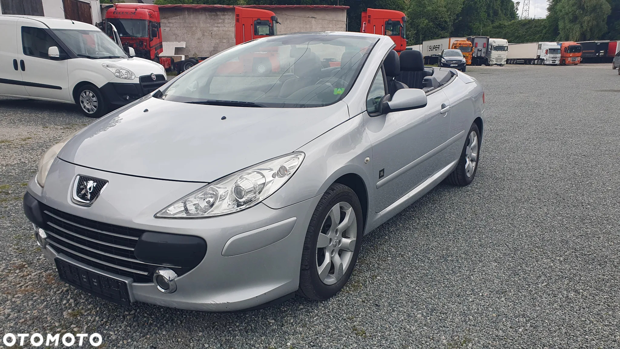 Peugeot 307 CC 1.6 Intense - 18