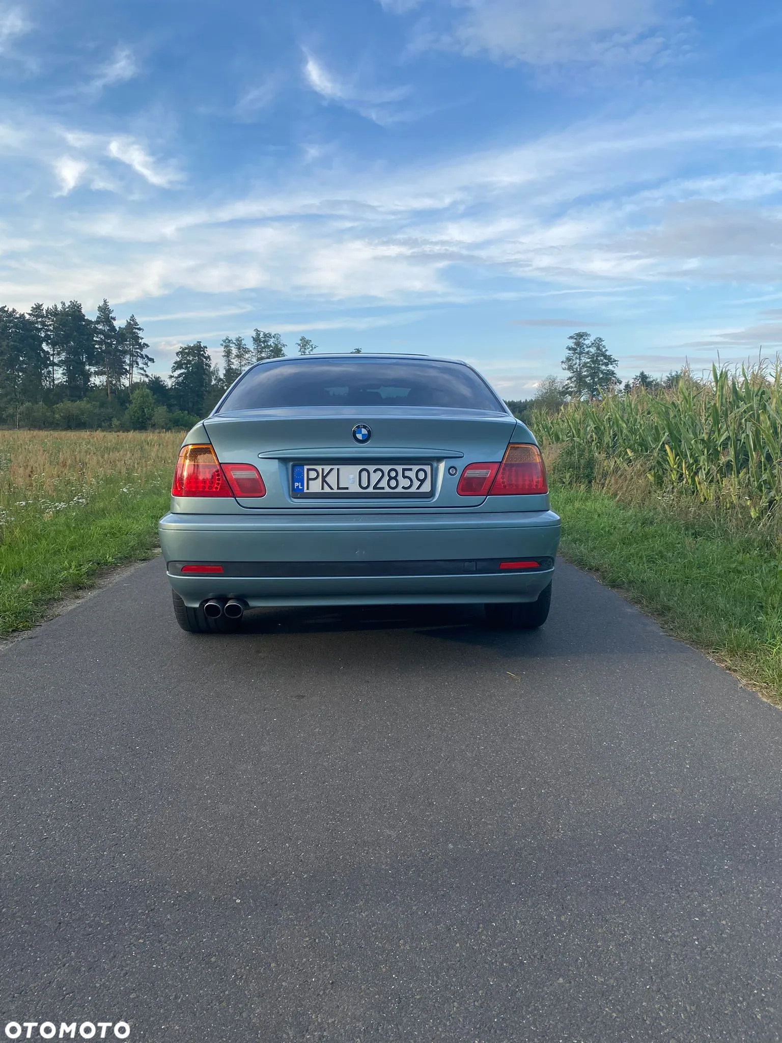 BMW Seria 3 330 Ci - 2