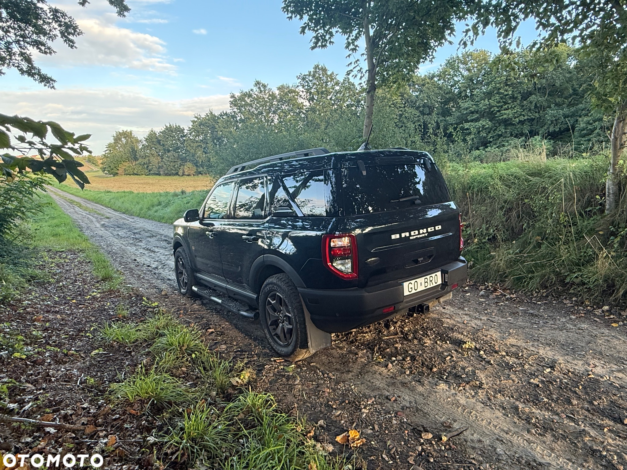 Ford Inny - 3