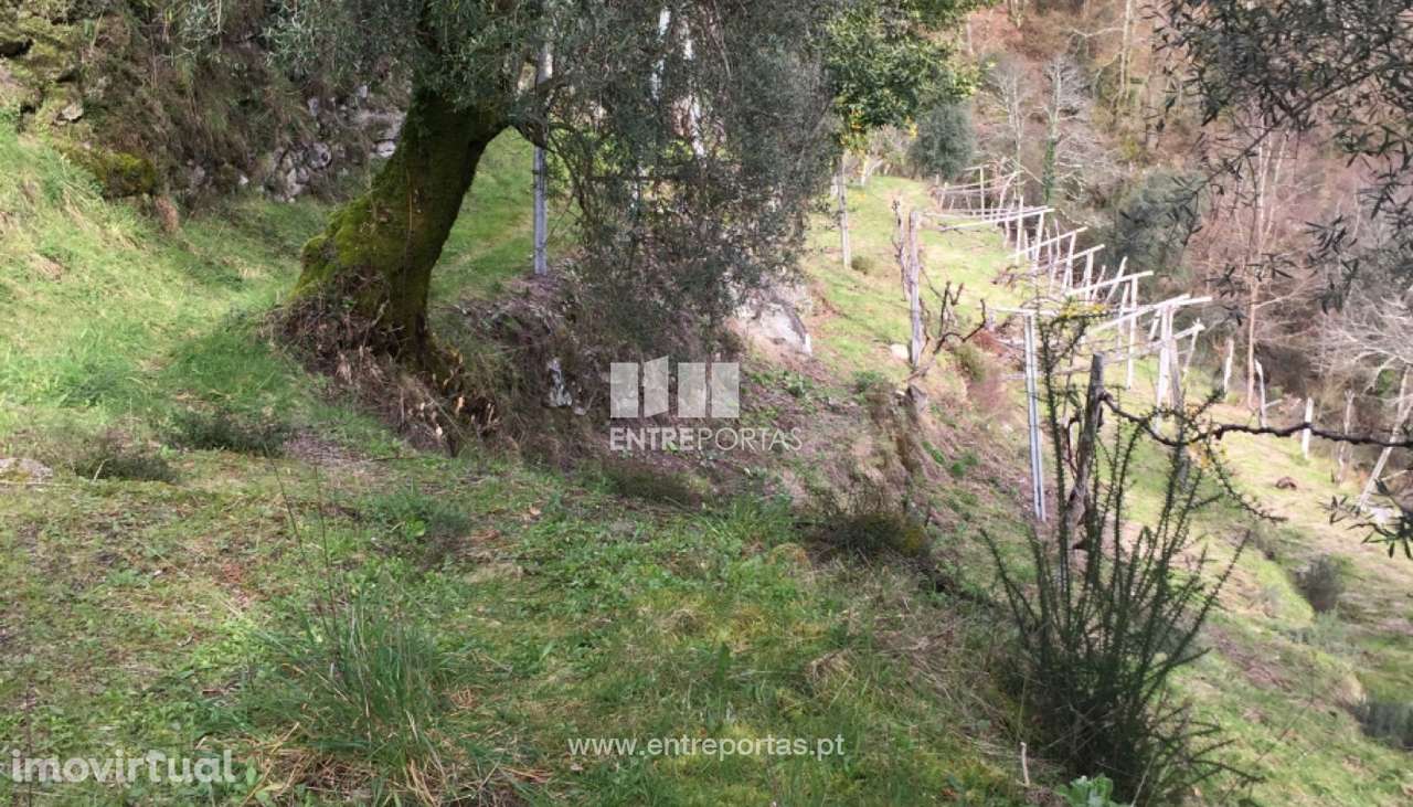 Venda de Terreno de construção, Grade, Arcos de Valdevez. - Grande imagem: 2/26