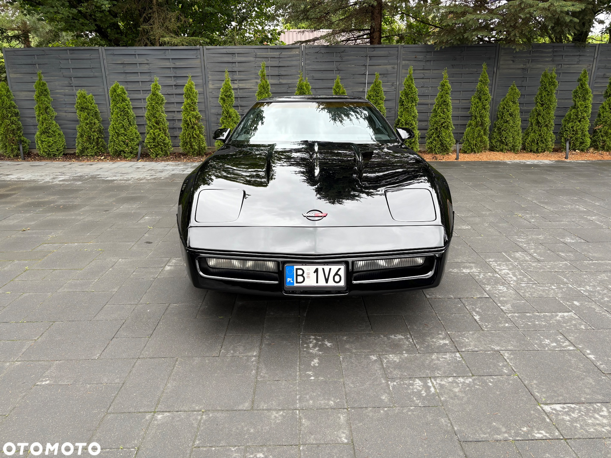 Chevrolet Corvette - 8