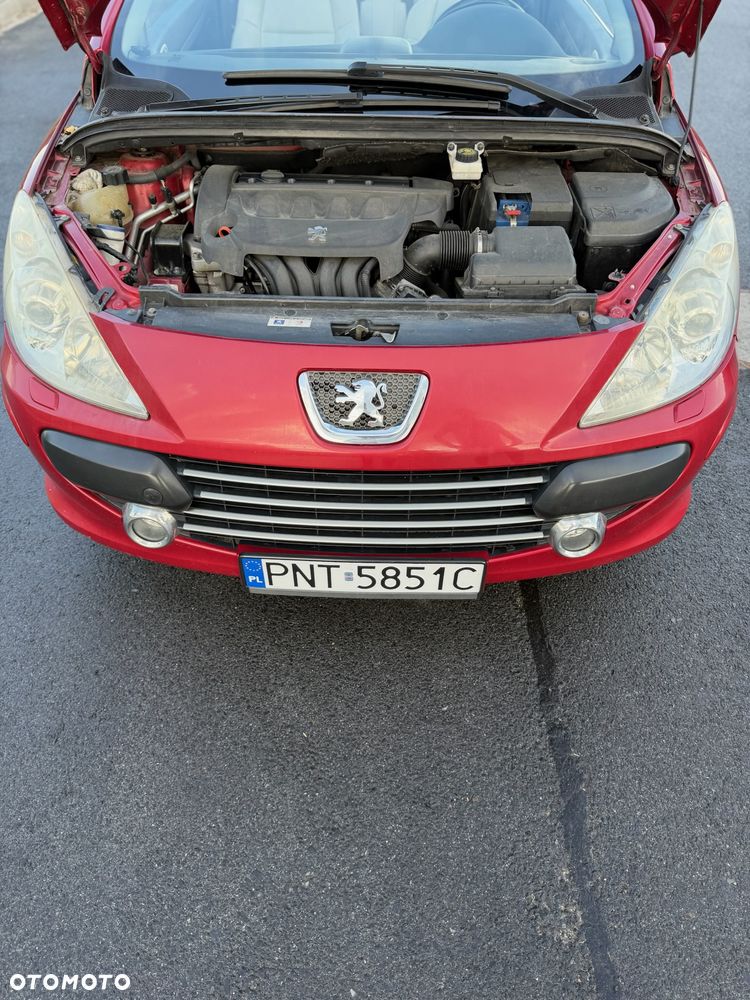 Peugeot 307 - 19