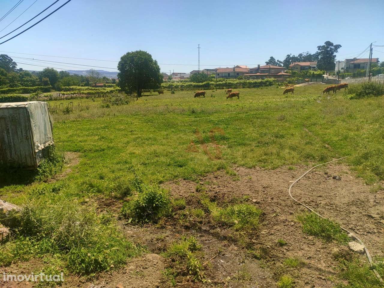 Quinta com 19000m2 dos quais 2000m2 Urbanizáveis, Composta por Moradia - Grande imagem: 3/9