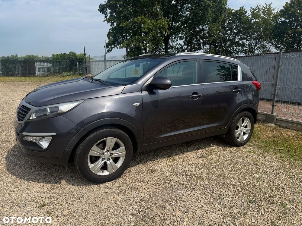 Kia Sportage - 1
