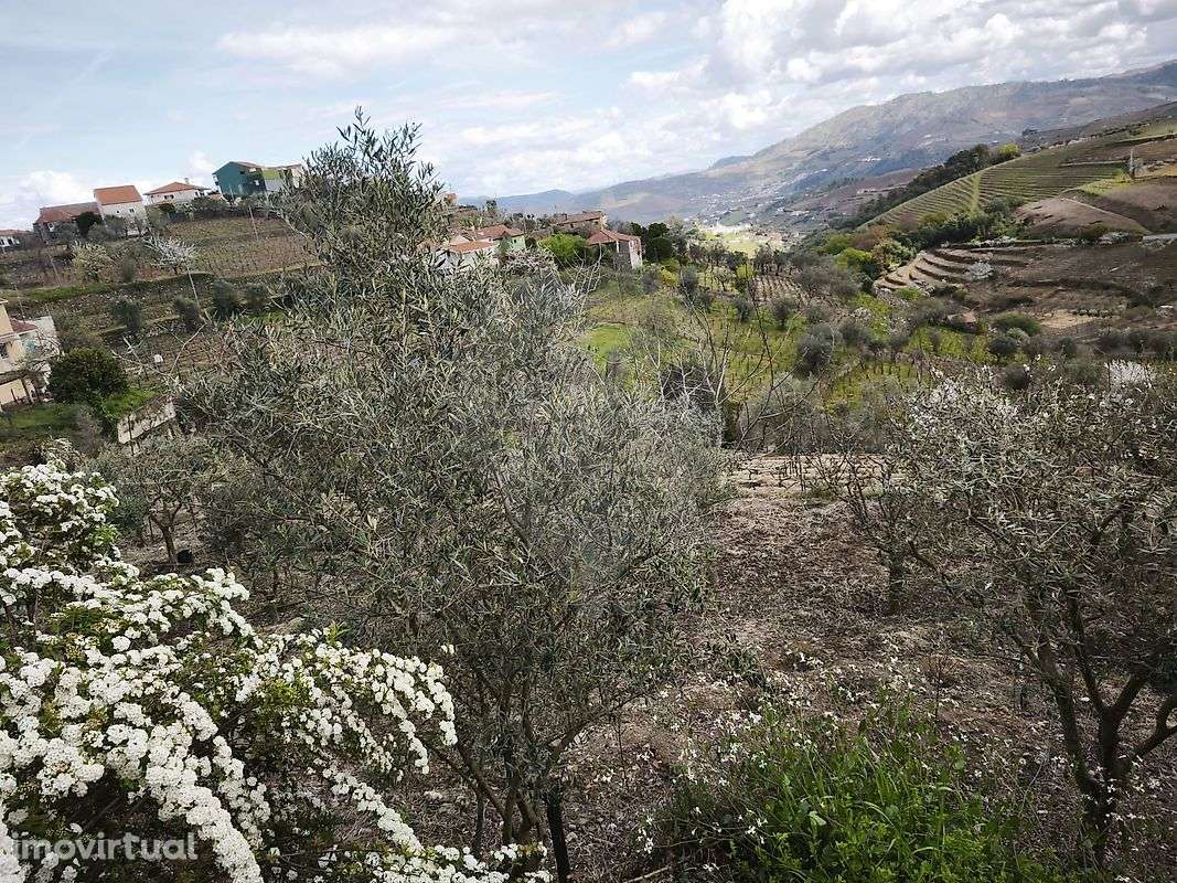 Terreno  para venda - Grande imagem: 3/9