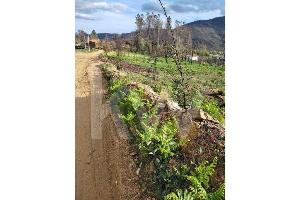 Terreno agrícola, Valhelhas na Serra da Estrela - Grande imagem: 4/15