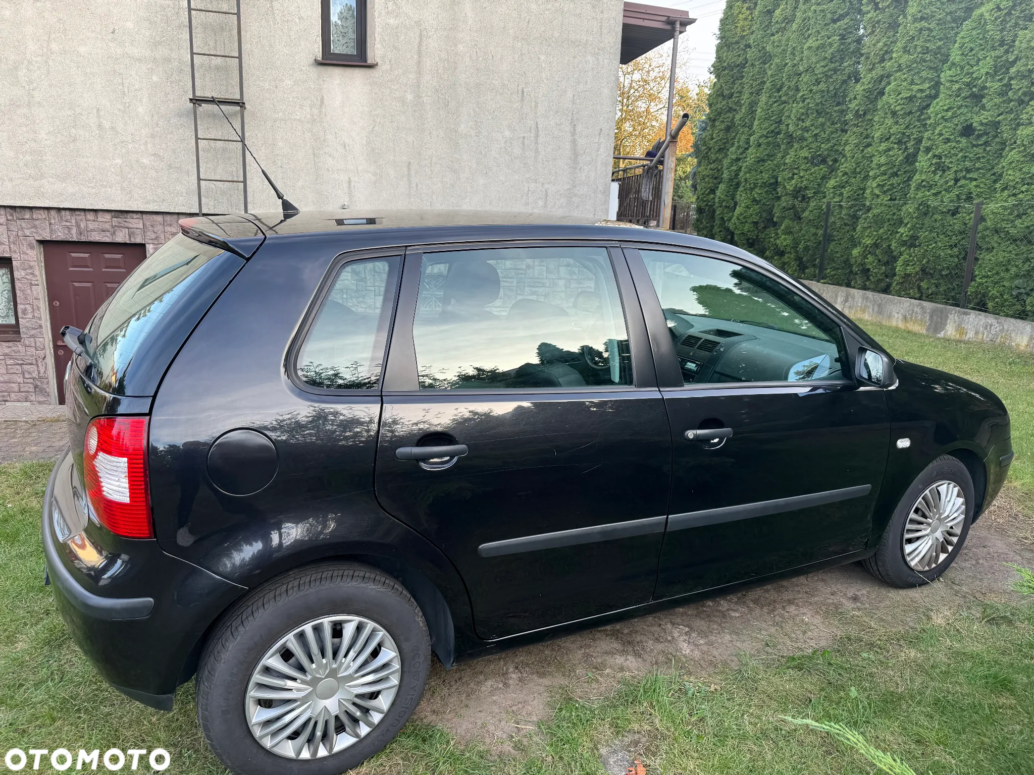 Volkswagen Polo - 4