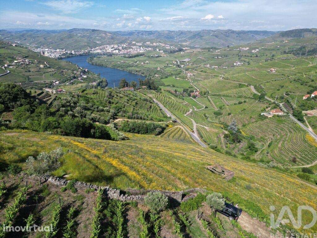 Terreno Agrícola em Samodães de 32187,00 m2 - Grande imagem: 2/9