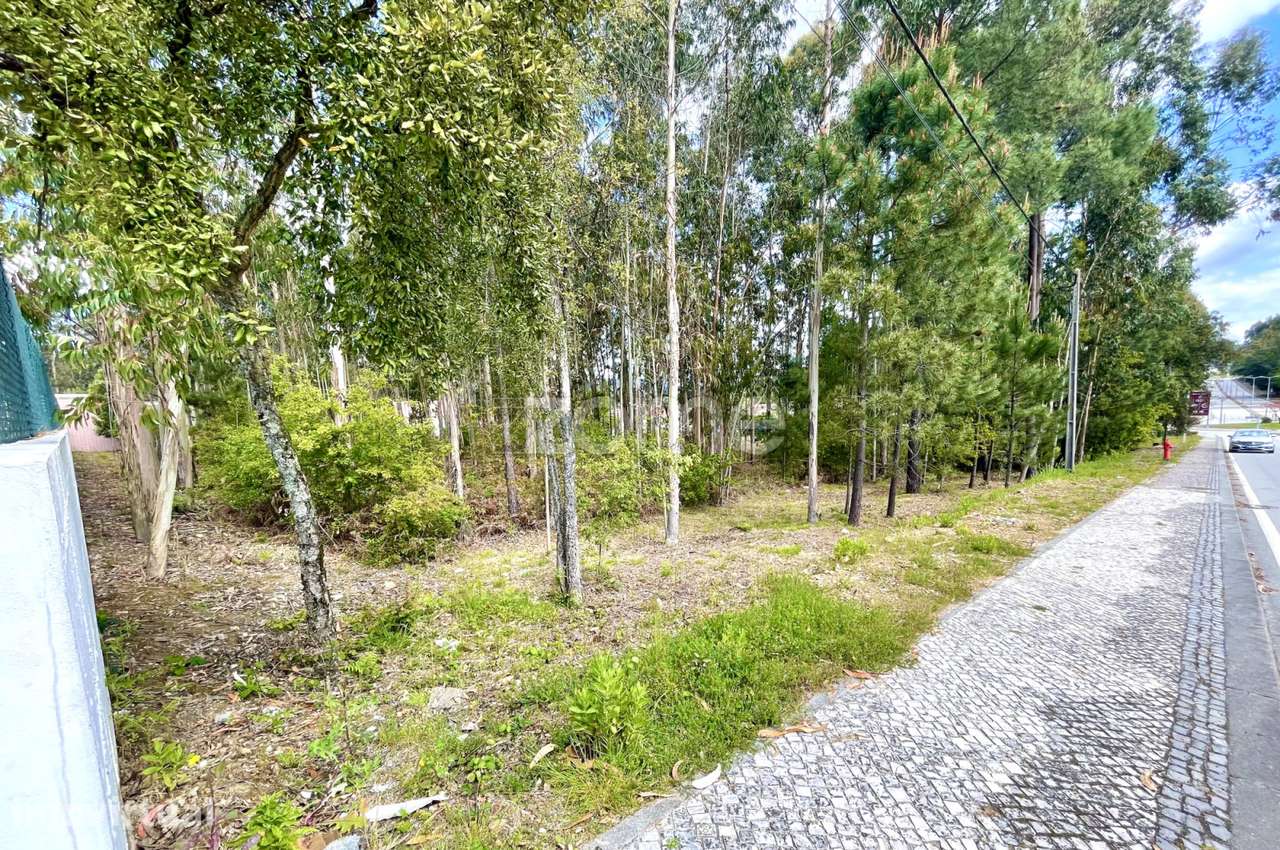 Terreno para construção com 2.450 m2, em Cesar (OAZ) - Grande imagem: 5/15