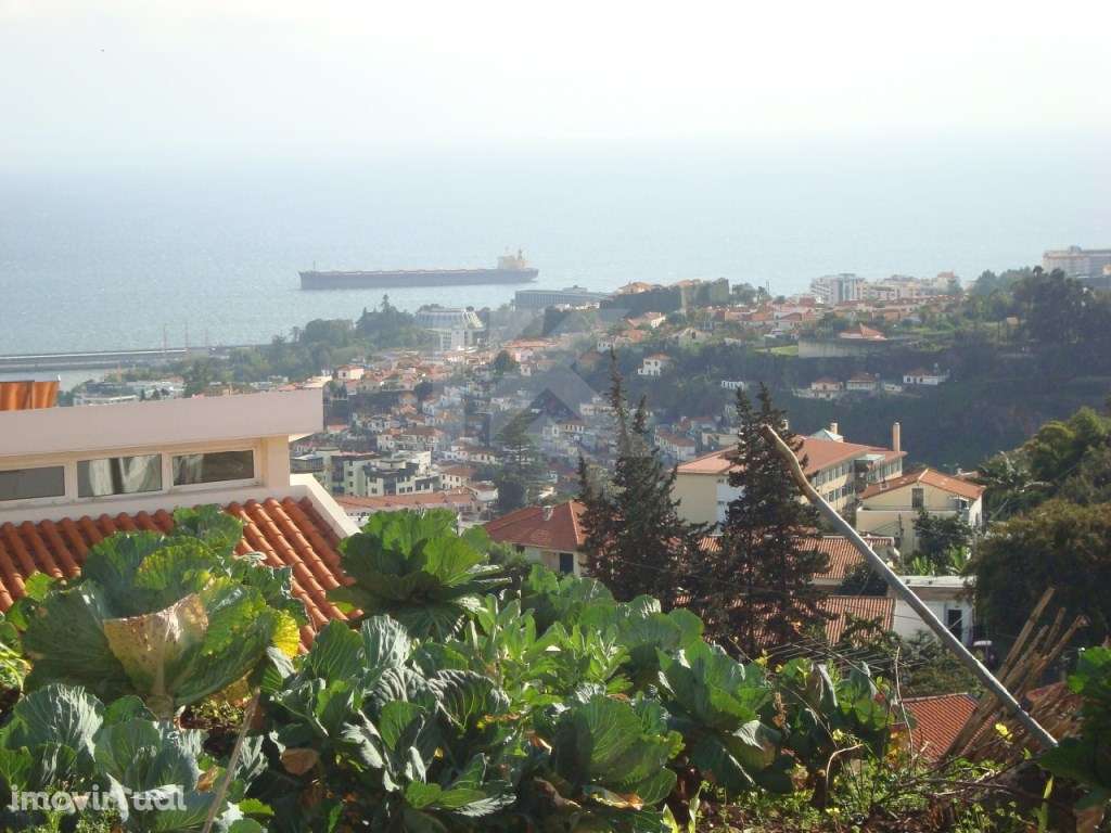 Lotes para construção - Localizado no Imaculado Coração de Maria, F... - Grande imagem: 2/3