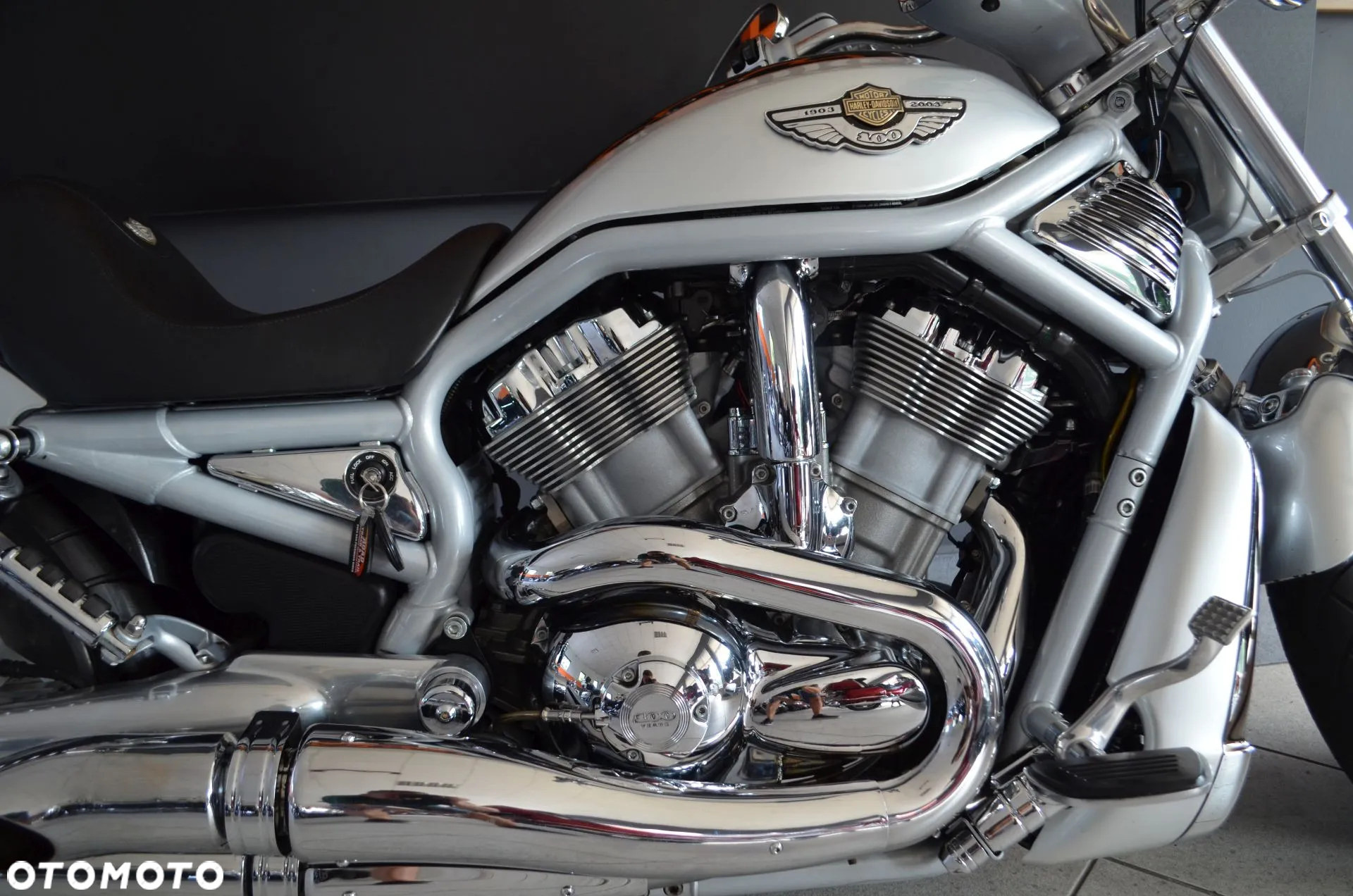 Harley-Davidson Softail V-Rod - 6