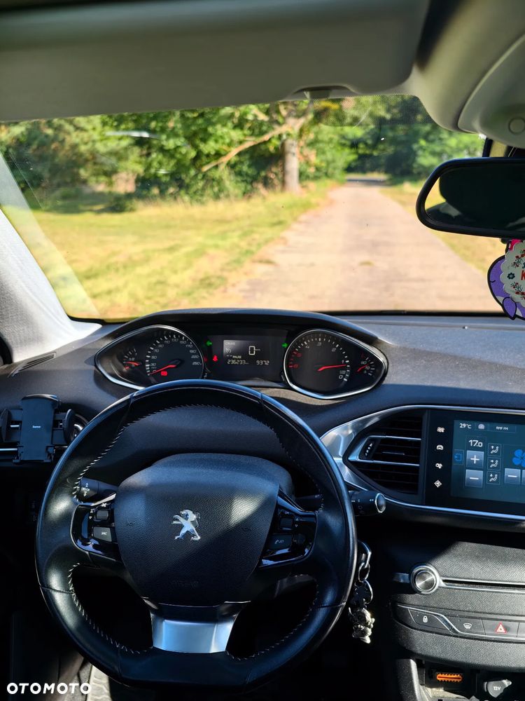 Peugeot 308 1.6 BlueHDi Active S&S - 18