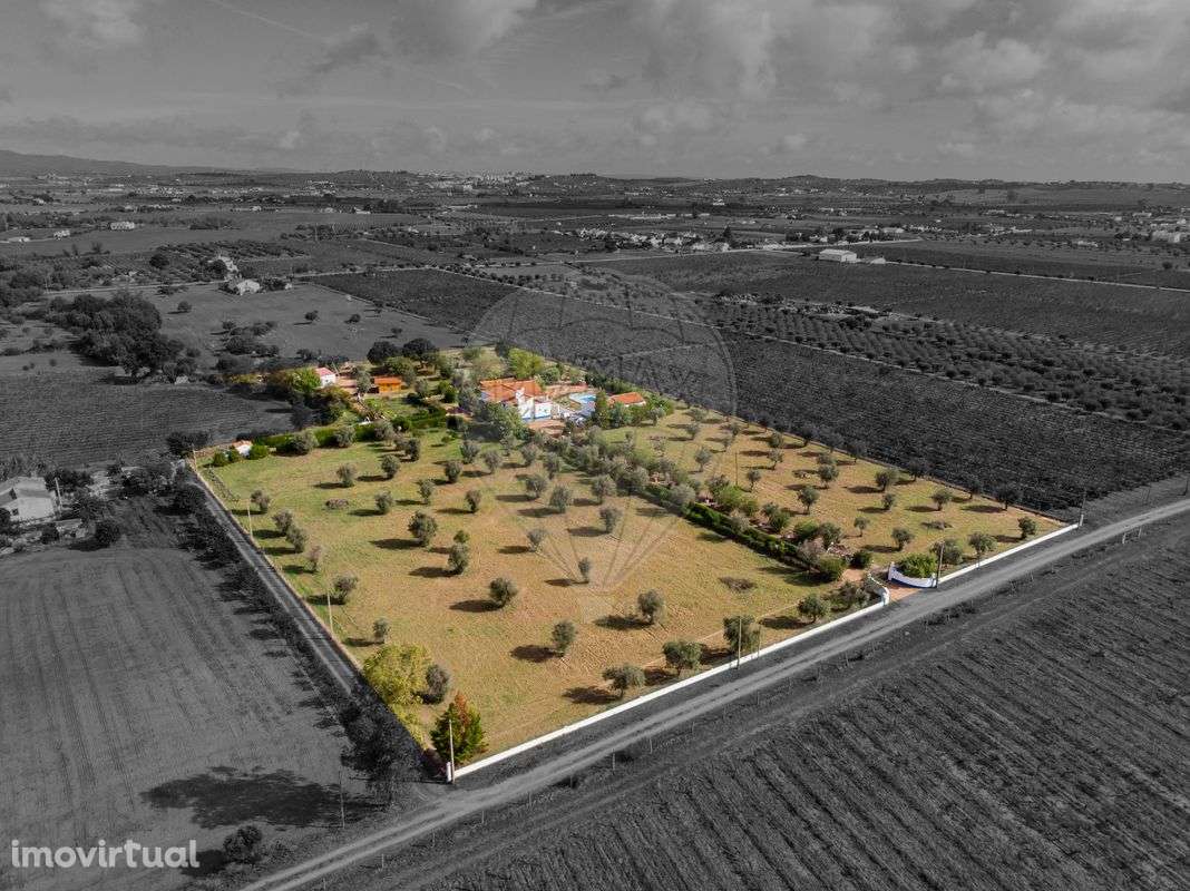 Quinta T5 para venda - Grande imagem: 4/32