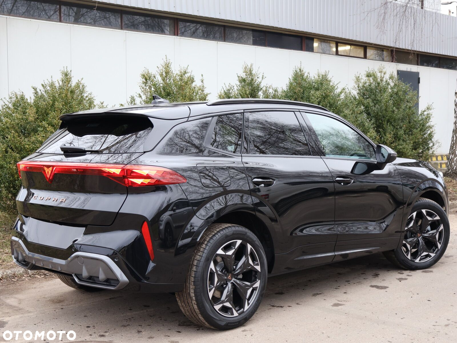 Cupra Terramar 1.5 eTSI mHEV DSG - 16