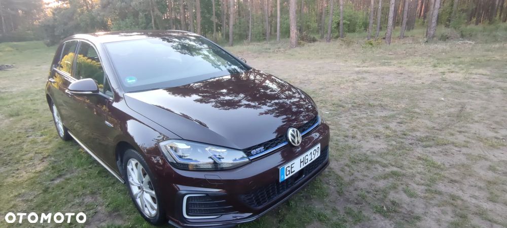 Volkswagen Golf 1.4 GTE Plug-In-Hybrid DSG - 7