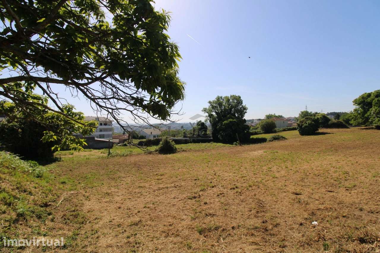 Terreno com 7.813 m² no Centro de Oliveira do Douro | Vila Nova de ... - Grande imagem: 4/30
