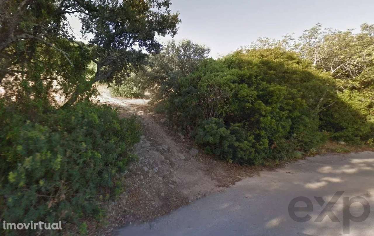 Terreno Rústico em Santa Bárbara de Nexe - Grande imagem: 4/6