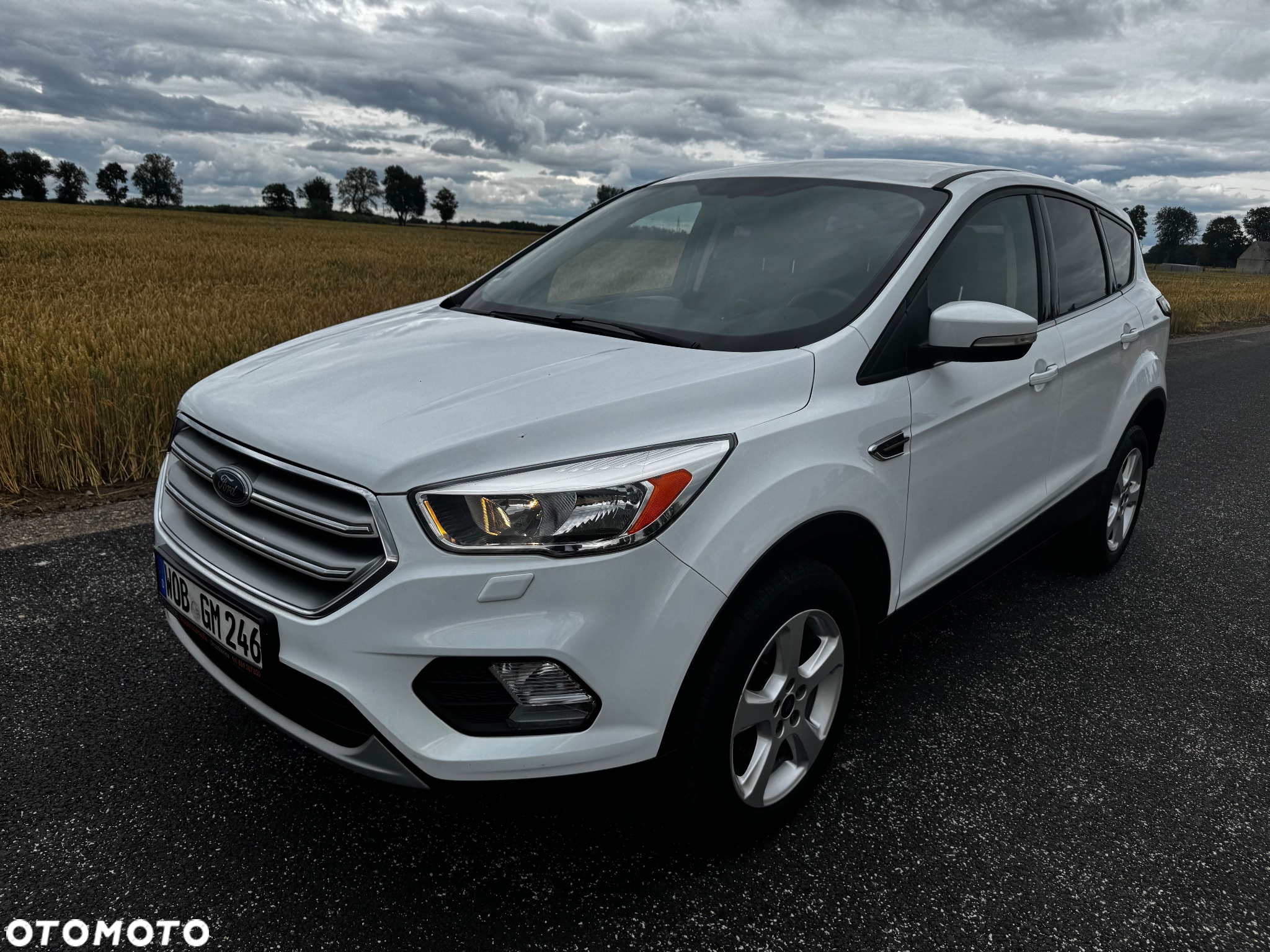 Ford Kuga 1.5 EcoBoost 2x4 Trend - 20