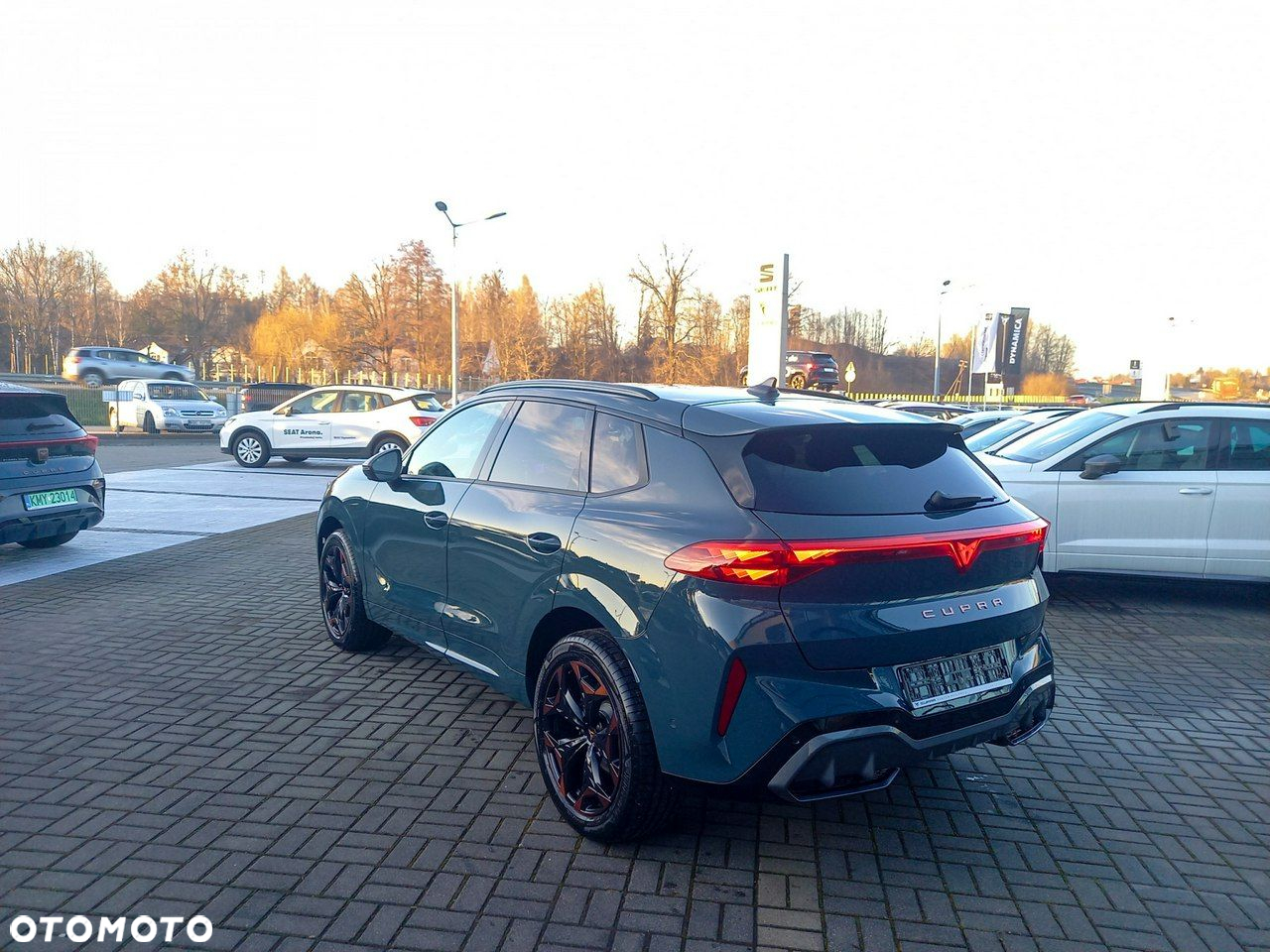 Cupra Terramar - 5