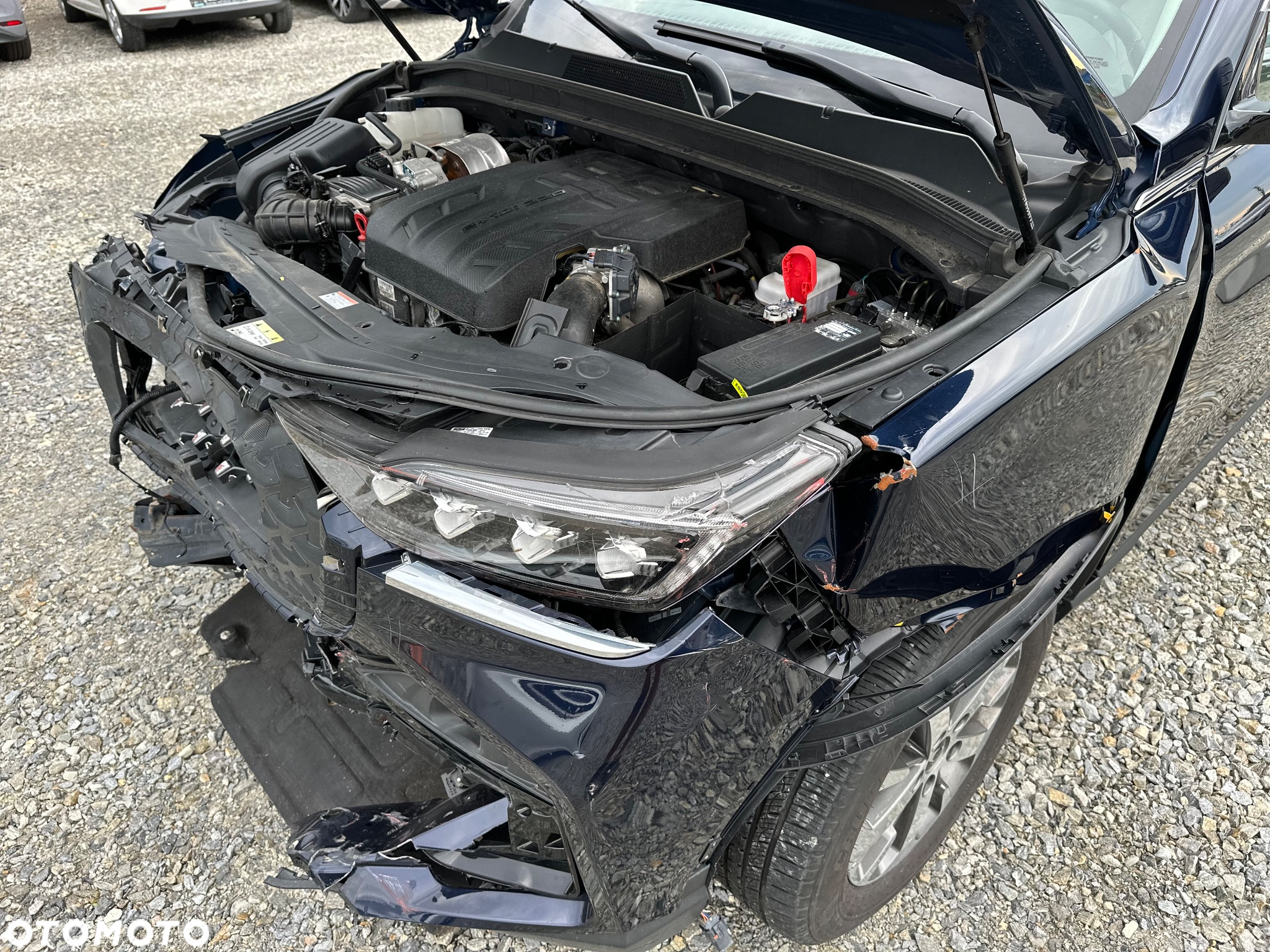 SsangYong/KGM Rexton 2.2 D Sapphire 4WD 7os - 24