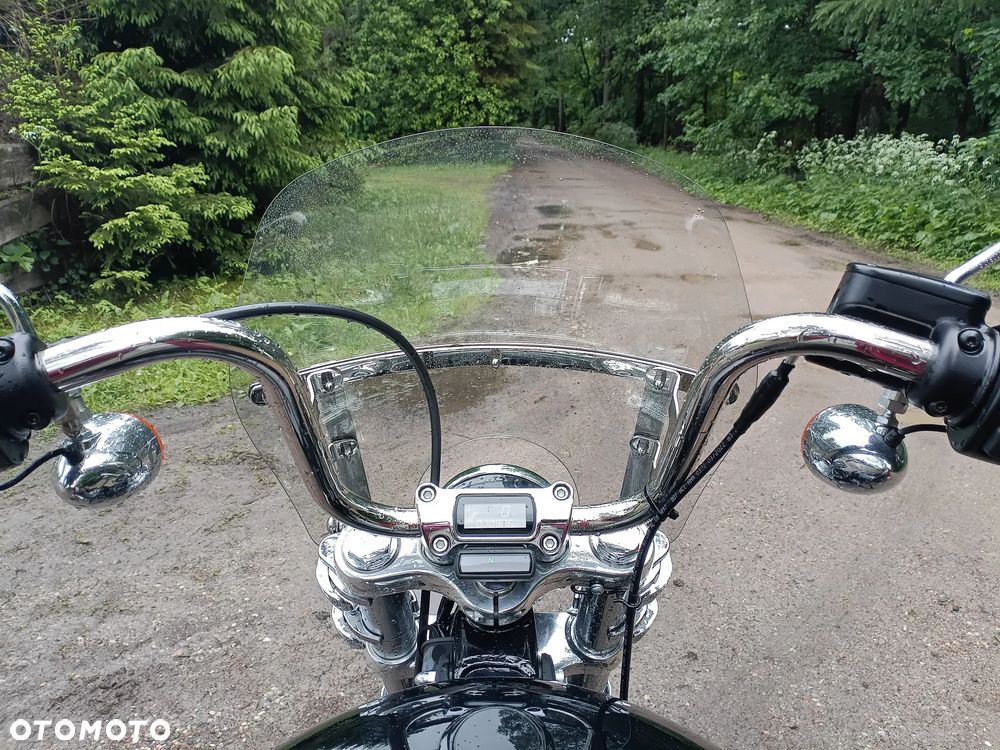Harley-Davidson Softail Standard - 9
