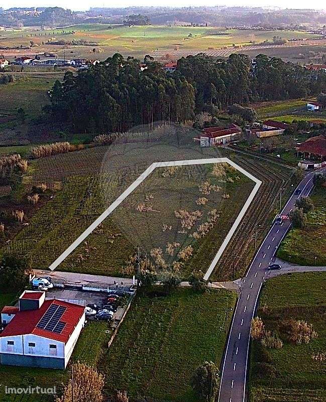 Terreno  para venda - Grande imagem: 3/5