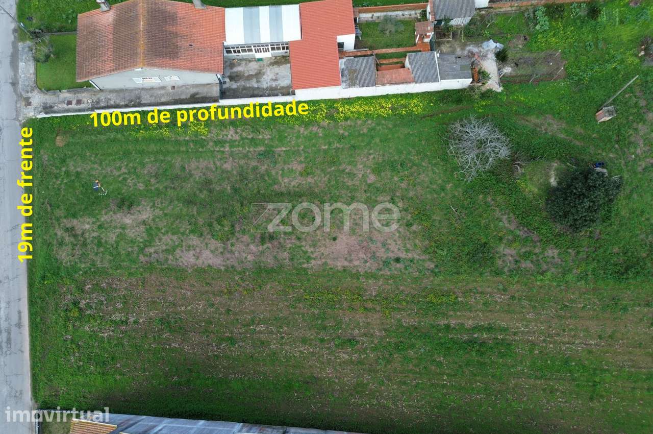 Terreno para moradia isolada ou 2 moradias geminadas_1900m2_Vagos - Grande imagem: 5/31