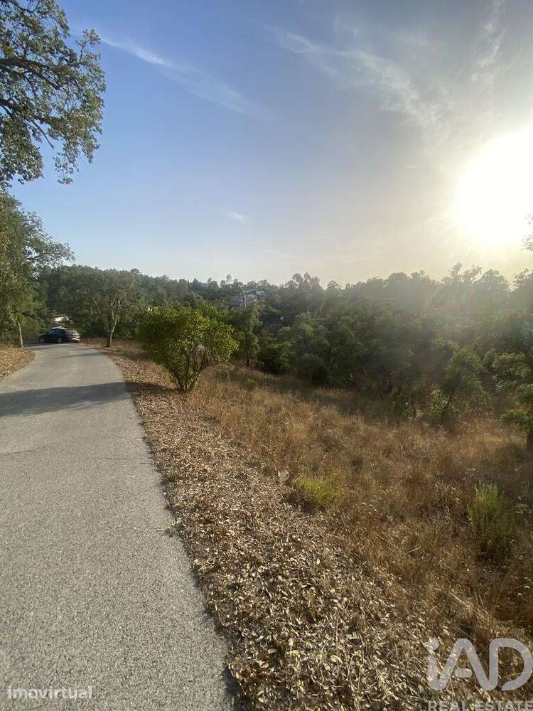 Terreno para construção em São Brás de Alportel - Grande imagem: 4/36