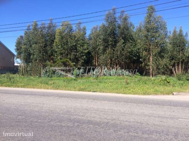 Terreno industrial para arrendamento 11.000 m2 - Cacia - Grande imagem: 3/3