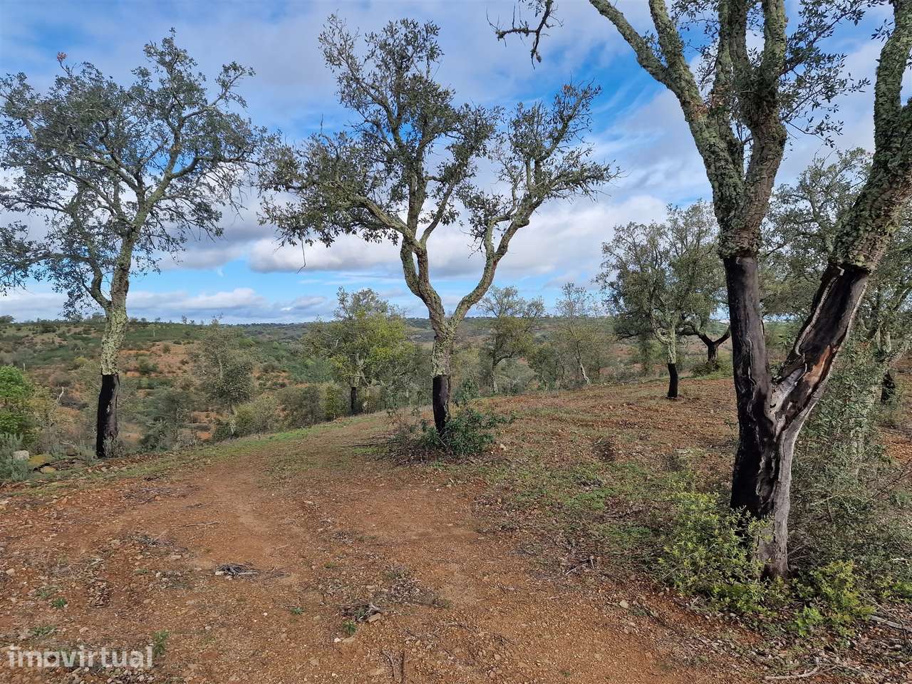 Terreno  Venda em Santa Cruz,Almodôvar - Grande imagem: 5/9
