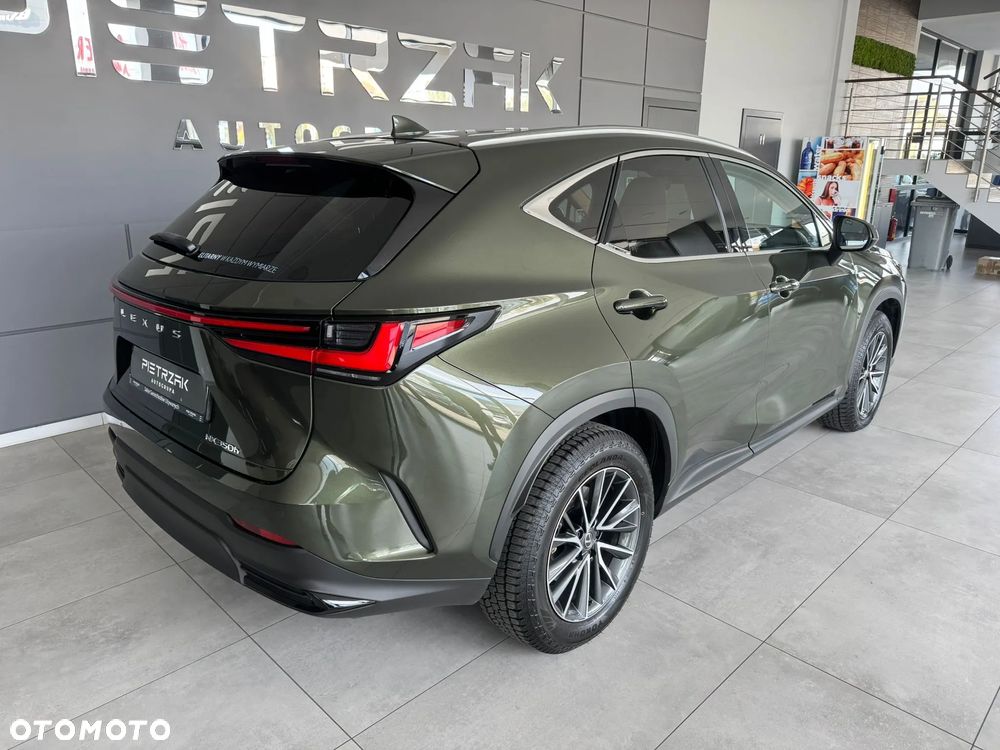 Lexus NX - 6