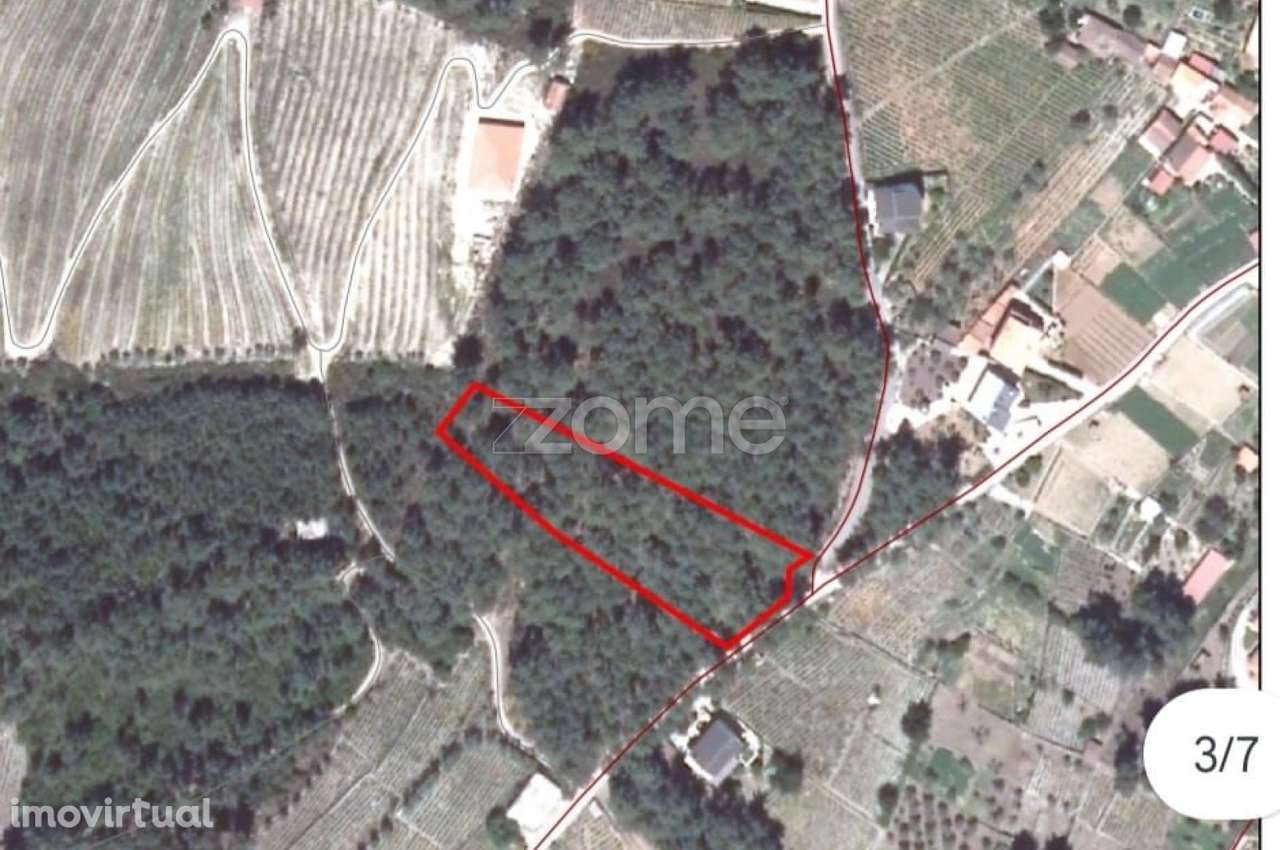 Terreno inserido em zona de construção - Grande imagem: 2/14