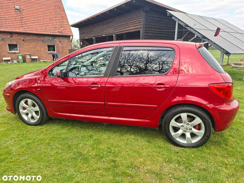 Peugeot 307 140 Sport - 4