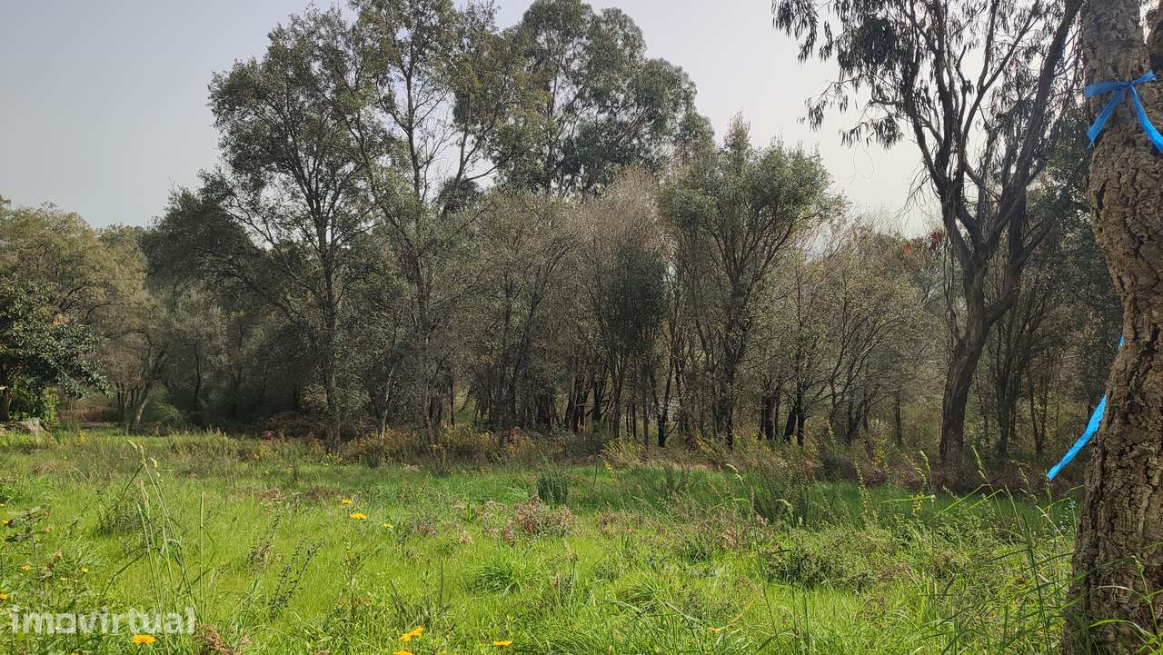 Terreno em Turiz, Vila Verde - Grande imagem: 3/9