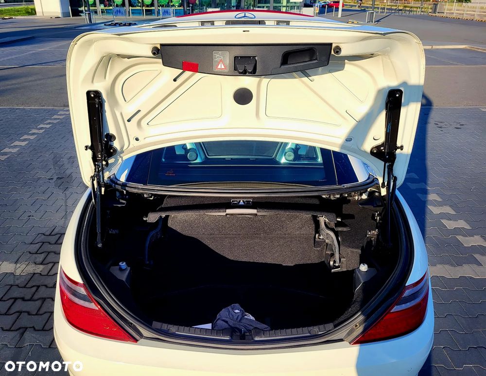 Mercedes-Benz SLK 250 CDI (BlueEFFICIENCY) 7G-TRONIC - 14