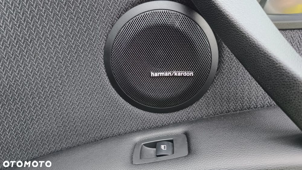 BMW Seria 3 318d Luxury Line - 21