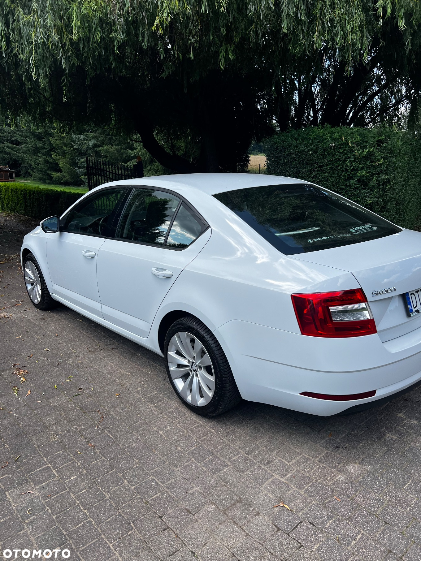 Skoda Octavia 1.0 TSI Ambition DSG - 6