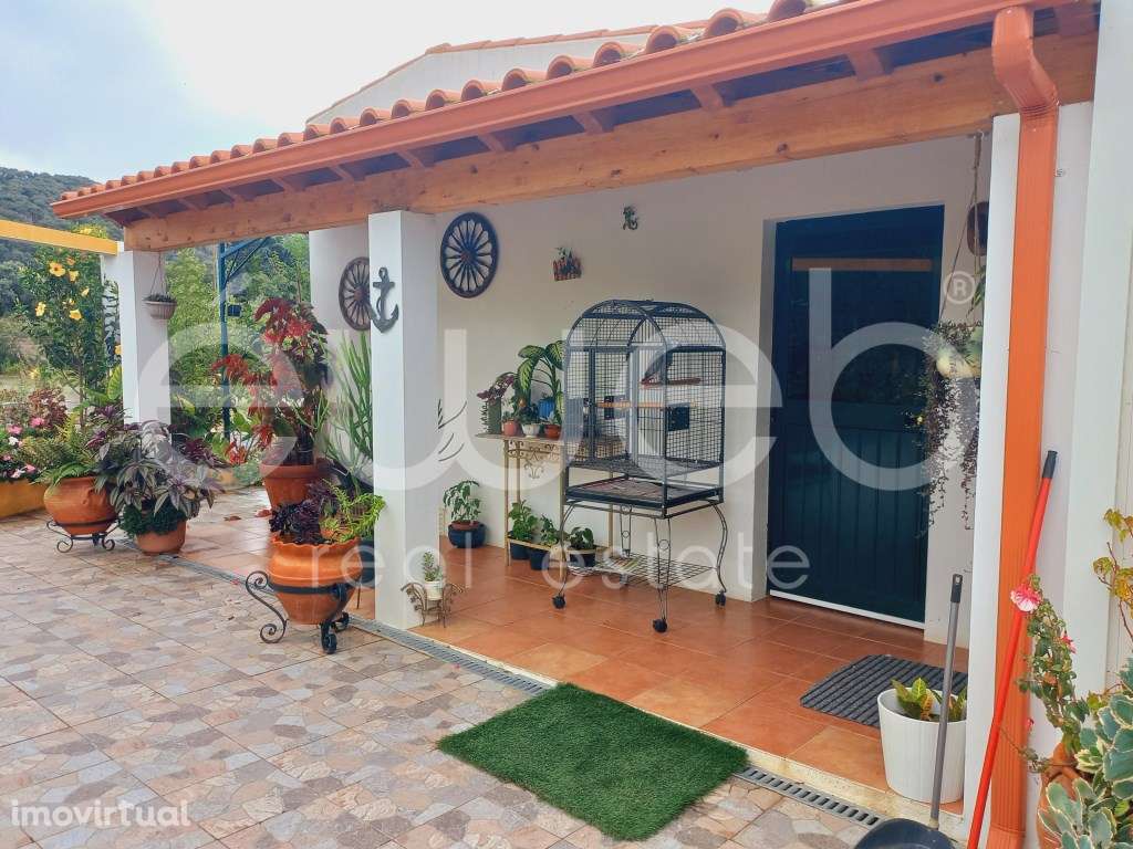 Lote, S. Luis, Odemira - Grande imagem: 5/25