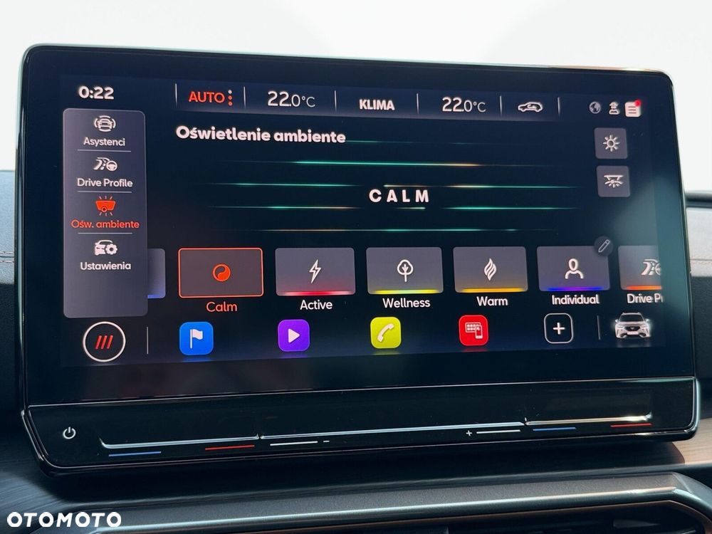 Cupra Formentor 2.0 TSI 4Drive VZ DSG - 36