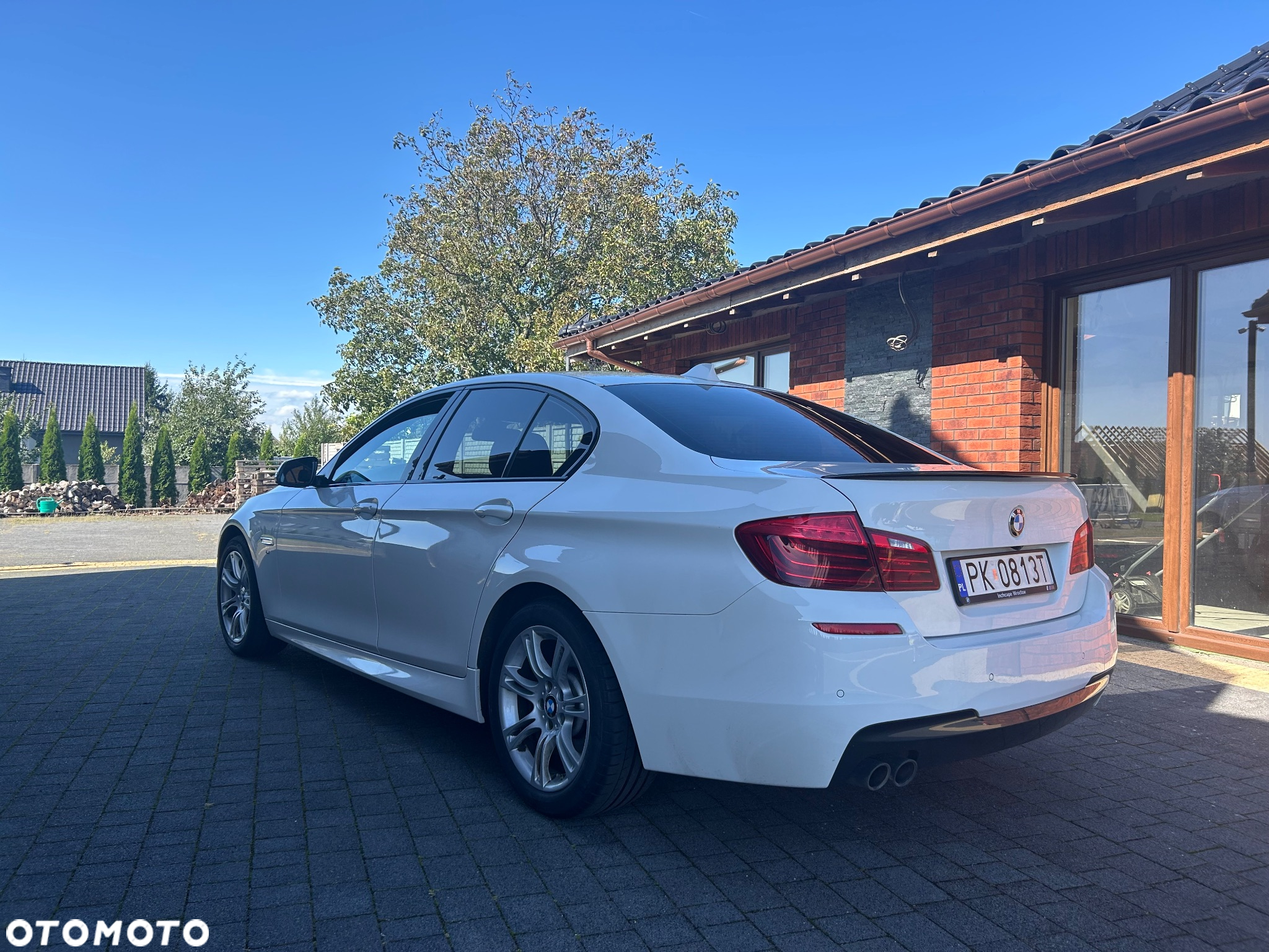 BMW Seria 5 520d xDrive - 19