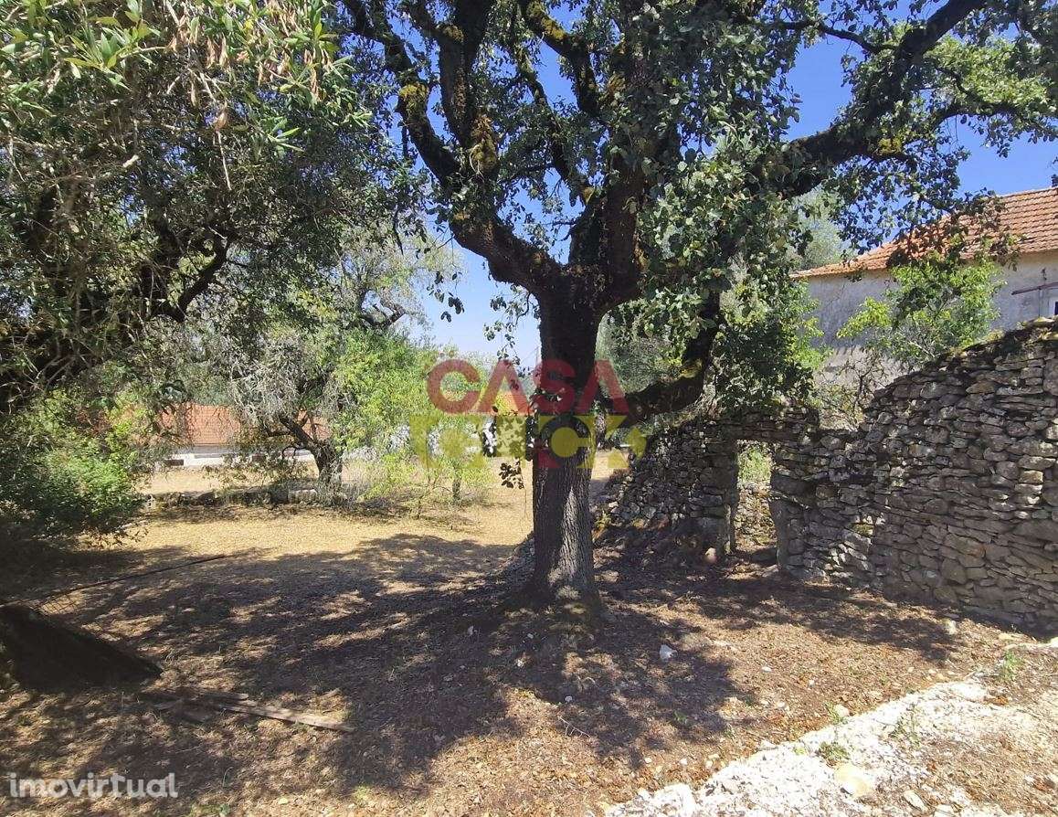 Moradia T6 Venda em Nossa Senhora das Misericórdias,Ourém - Grande imagem: 3/7